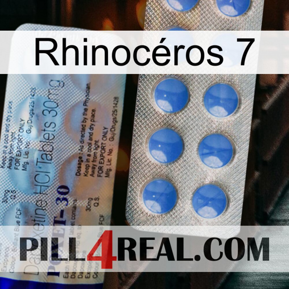 Rhinocéros 7 39
